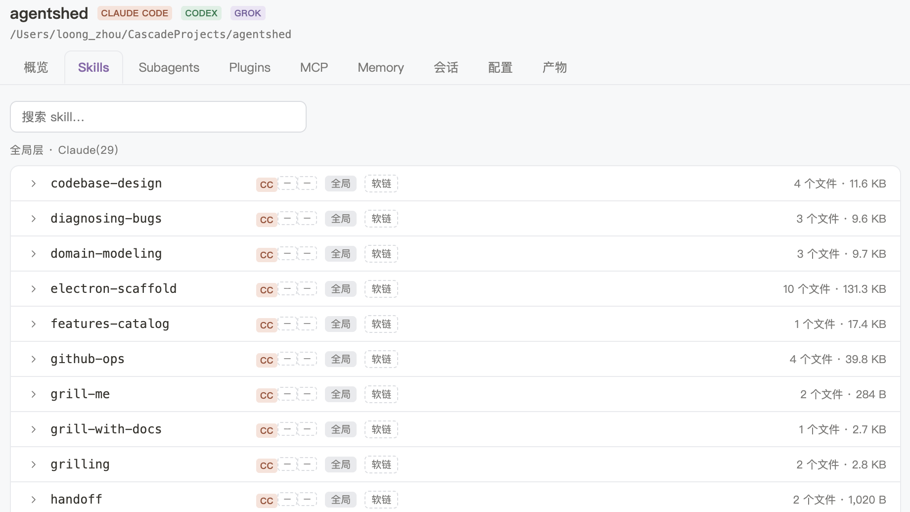一个项目的 Skills 页